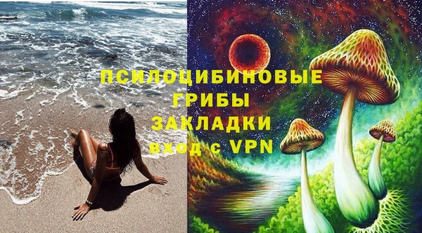 mdpv Армянск